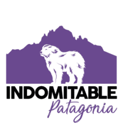 aplicaciones de logos indomitable.ai_Mesa de trabajo 1 copia 8
